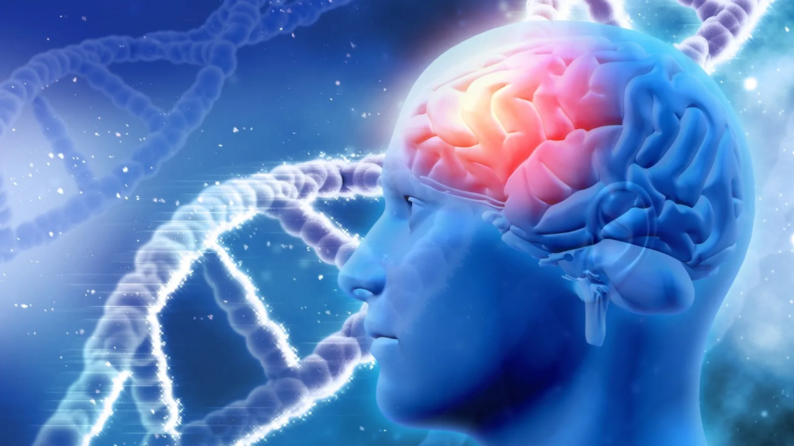 Neurofisiólogo clínico cerca de Plaza Las Tiendas Cancún en Cancún, Q.R.